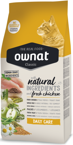 Ownat Daily Care Chat